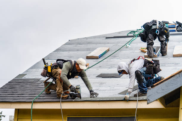 Professional Gutter Installation technician working in Callender, IA